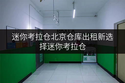 迷你考拉仓北京仓库出租新选择迷你考拉仓，存取无忧，全天候服务