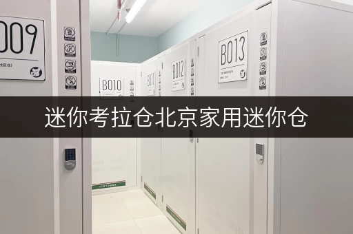 迷你考拉仓北京家用迷你仓，打造您的私人空间储物秘籍