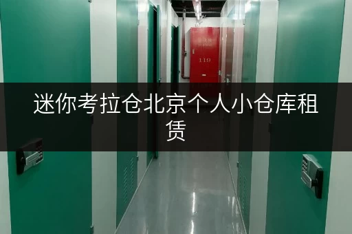 迷你考拉仓北京个人小仓库租赁,告别空间焦虑,存储更省心 迷你考拉仓北京个人小仓库租赁,告别空间焦虑,存储更省心