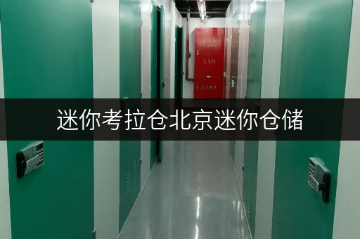迷你考拉仓北京迷你仓储,释放办公空间新思路 迷你考拉仓北京迷你仓储,释放办公空间新思路