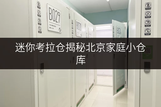 迷你考拉仓揭秘北京家庭小仓库,价格透明省钱攻略! 迷你考拉仓揭秘北京家庭小仓库,价格透明省钱攻略!