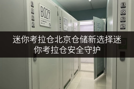 迷你考拉仓北京仓储新选择迷你考拉仓安全守护，温湿监控，让您的物品安心“入住”
