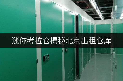 迷你考拉仓揭秘北京出租仓库,省钱攻略大公开! 迷你考拉仓揭秘北京出租仓库,省钱攻略大公开!