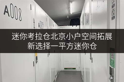 迷你考拉仓北京小户空间拓展新选择一平方迷你仓,品质生活轻松享 迷你考拉仓北京小户空间拓展新选择一平方迷你仓,品质生活轻松享