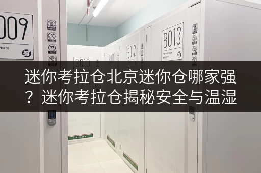 迷你考拉仓北京迷你仓哪家强?迷你考拉仓揭秘安全与温湿监控之道 迷你考拉仓北京迷你仓哪家强?迷你考拉仓揭秘安全与温湿监控之道