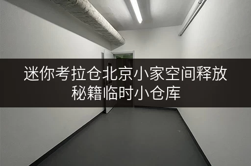 迷你考拉仓北京小家空间释放秘籍临时小仓库,让生活焕然一新! 迷你考拉仓北京小家空间释放秘籍临时小仓库,让生活焕然一新!
