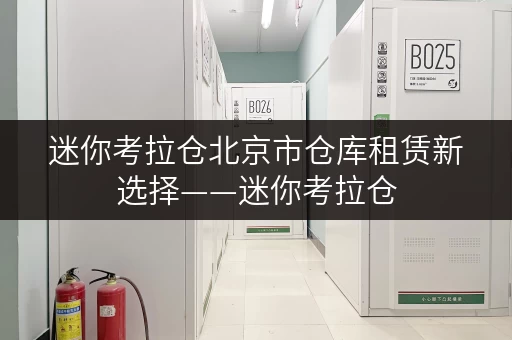 迷你考拉仓北京市仓库租赁新选择——迷你考拉仓,存取便捷,服务全时段 迷你考拉仓北京市仓库租赁新选择——迷你考拉仓,存取便捷,服务全时段