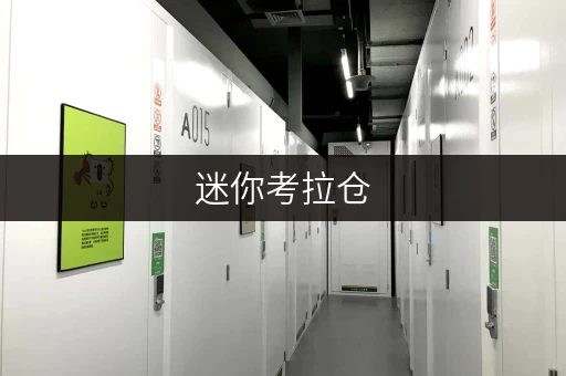 迷你考拉仓,您的私人空间管家 迷你考拉仓,您的私人空间管家