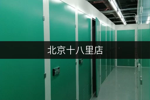 北京十八里店,安全与温湿监控下的迷你仓租赁新体验 北京十八里店,安全与温湿监控下的迷你仓租赁新体验