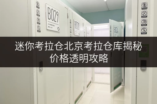 迷你考拉仓北京考拉仓库揭秘价格透明攻略,教你轻松省钱! 迷你考拉仓北京考拉仓库揭秘价格透明攻略,教你轻松省钱!