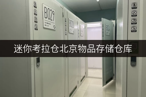 迷你考拉仓北京物品存储仓库,随存随取,便捷生活新选择 迷你考拉仓北京物品存储仓库,随存随取,便捷生活新选择