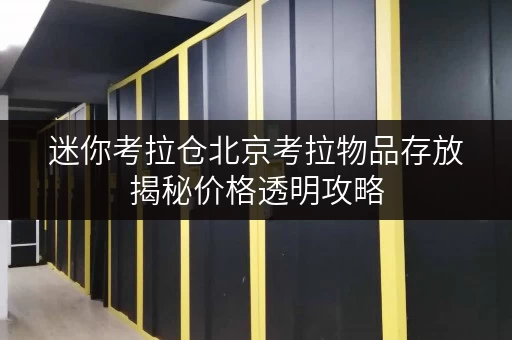 迷你考拉仓北京考拉物品存放揭秘价格透明攻略，轻松省下大笔费用！