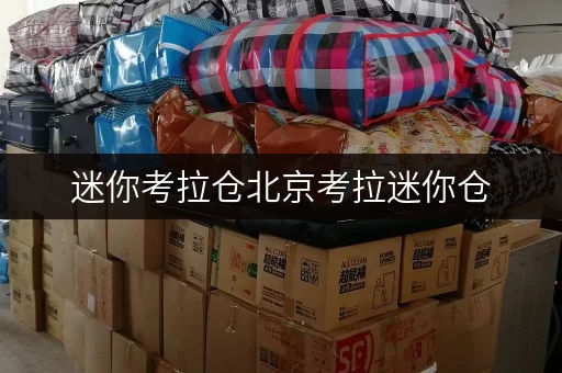 迷你考拉仓北京考拉迷你仓,家庭空间释放新选择 迷你考拉仓北京考拉迷你仓,家庭空间释放新选择