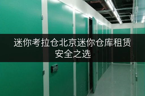迷你考拉仓北京迷你仓库租赁安全之选，温湿监控，守护您的每一件宝贝
