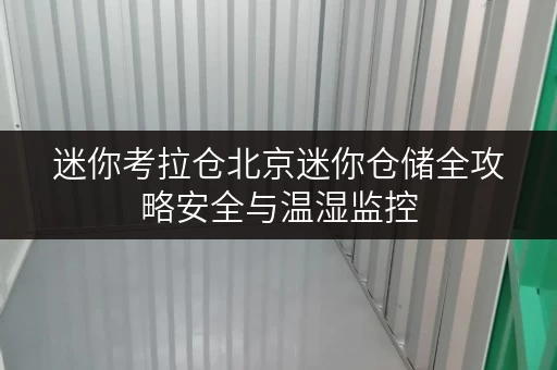 迷你考拉仓北京迷你仓储全攻略安全与温湿监控,守护您的每一件宝贝 迷你考拉仓北京迷你仓储全攻略安全与温湿监控,守护您的每一件宝贝