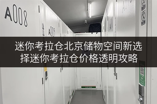 迷你考拉仓北京储物空间新选择迷你考拉仓价格透明攻略 迷你考拉仓北京储物空间新选择迷你考拉仓价格透明攻略