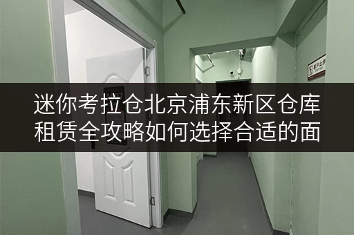迷你考拉仓北京浦东新区仓库租赁全攻略如何选择合适的面积,案例分享 迷你考拉仓北京浦东新区仓库租赁全攻略如何选择合适的面积,案例分享