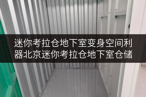 迷你考拉仓地下室变身空间利器北京迷你考拉仓地下室仓储全攻略