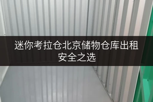 迷你考拉仓北京储物仓库出租安全之选，温湿监控，守护您的每一件宝贝
