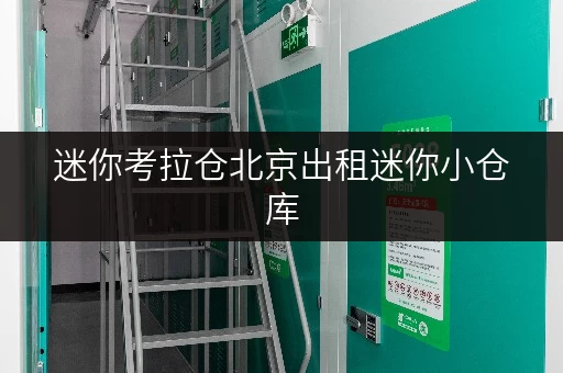 迷你考拉仓北京出租迷你小仓库,安全与温湿监控,打造您的私人储物宝库 迷你考拉仓北京出租迷你小仓库,安全与温湿监控,打造您的私人储物宝库