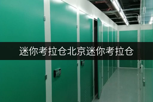 迷你考拉仓北京迷你考拉仓,您的存储省心之选 迷你考拉仓北京迷你考拉仓,您的存储省心之选