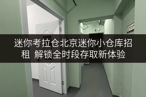 迷你考拉仓北京迷你小仓库招租 解锁全时段存取新体验 迷你考拉仓北京迷你小仓库招租 解锁全时段存取新体验