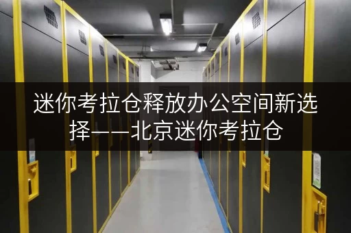 迷你考拉仓释放办公空间新选择——北京迷你考拉仓,您的办公用品存放专家 迷你考拉仓释放办公空间新选择——北京迷你考拉仓,您的办公用品存放专家
