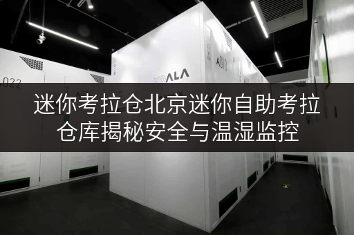 迷你考拉仓北京迷你自助考拉仓库揭秘安全与温湿监控，守护您的宝贝空间
