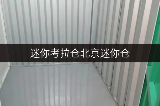 迷你考拉仓北京迷你仓,随存随取,打造你的私人空间 迷你考拉仓北京迷你仓,随存随取,打造你的私人空间