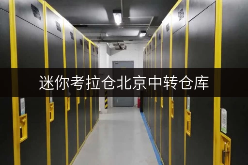 迷你考拉仓北京中转仓库,办公空间释放新解法 迷你考拉仓北京中转仓库,办公空间释放新解法