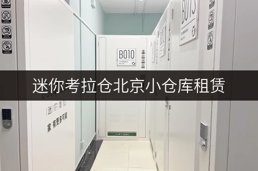 迷你考拉仓北京小仓库租赁,如何选对面积?五大实用案例解析 迷你考拉仓北京小仓库租赁,如何选对面积?五大实用案例解析
