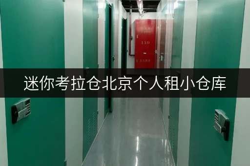 迷你考拉仓北京个人租小仓库,便捷存取,尽享生活自由 迷你考拉仓北京个人租小仓库,便捷存取,尽享生活自由