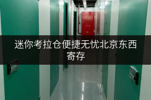 迷你考拉仓便捷无忧北京东西寄存，迷你考拉仓让设备工具随存随取