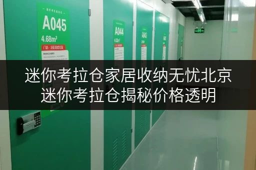迷你考拉仓家居收纳无忧北京迷你考拉仓揭秘价格透明，省钱攻略大公开！