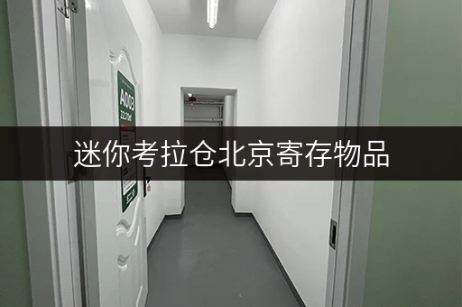 迷你考拉仓北京寄存物品,安全无忧的选择——迷你考拉仓 迷你考拉仓北京寄存物品,安全无忧的选择——迷你考拉仓