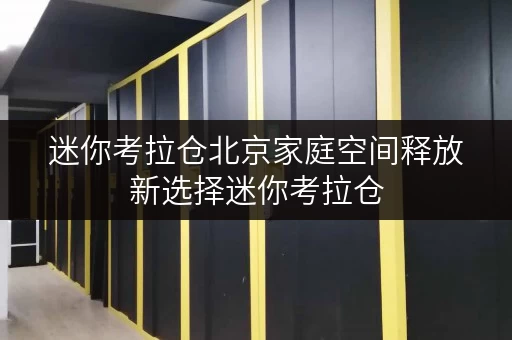 迷你考拉仓北京家庭空间释放新选择迷你考拉仓，让家居生活更品质