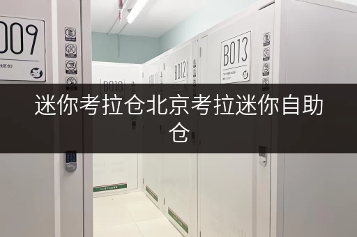 迷你考拉仓北京考拉迷你自助仓,随存随取,价格透明攻略 迷你考拉仓北京考拉迷你自助仓,随存随取,价格透明攻略