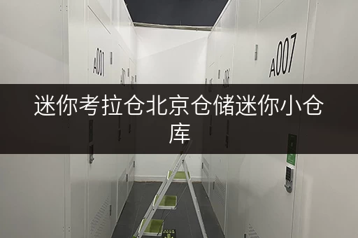 迷你考拉仓北京仓储迷你小仓库,揭秘省钱秘籍,告别存储烦恼! 迷你考拉仓北京仓储迷你小仓库,揭秘省钱秘籍,告别存储烦恼!