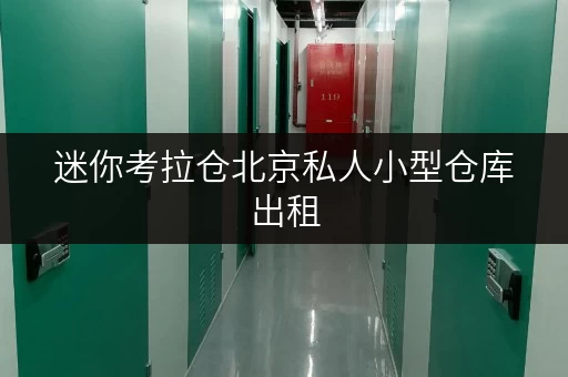 迷你考拉仓北京私人小型仓库出租,轻松解决货物存放烦恼 迷你考拉仓北京私人小型仓库出租,轻松解决货物存放烦恼