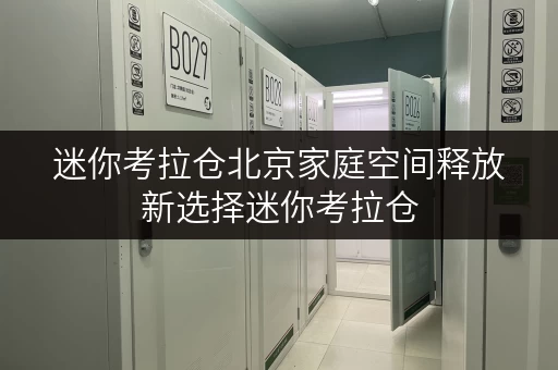 迷你考拉仓北京家庭空间释放新选择迷你考拉仓,让生活更美好 迷你考拉仓北京家庭空间释放新选择迷你考拉仓,让生活更美好