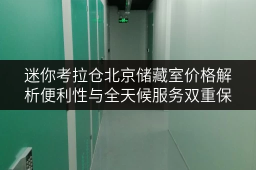 迷你考拉仓北京储藏室价格解析便利性与全天候服务双重保障 迷你考拉仓北京储藏室价格解析便利性与全天候服务双重保障