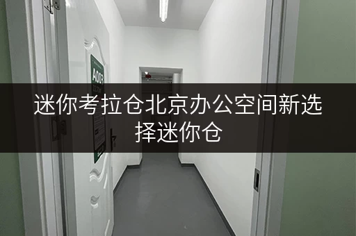 迷你考拉仓北京办公空间新选择迷你仓,释放办公空间新思路 迷你考拉仓北京办公空间新选择迷你仓,释放办公空间新思路
