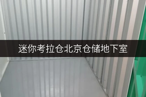 迷你考拉仓北京仓储地下室,装修搬家不烦恼的临时存储方案 迷你考拉仓北京仓储地下室,装修搬家不烦恼的临时存储方案