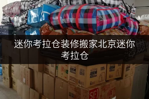 迷你考拉仓装修搬家北京迷你考拉仓，您的临时存储贴心方案