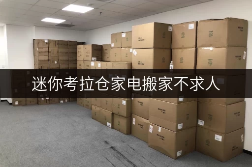 迷你考拉仓家电搬家不求人,北京迷你考拉仓随存随取更便捷 迷你考拉仓家电搬家不求人,北京迷你考拉仓随存随取更便捷