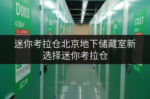 迷你考拉仓北京地下储藏室新选择迷你考拉仓，随存随取更便捷