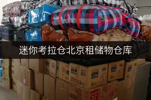 迷你考拉仓北京租储物仓库,告别杂物烦恼,打造清爽生活空间 迷你考拉仓北京租储物仓库,告别杂物烦恼,打造清爽生活空间