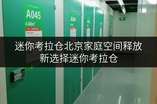 迷你考拉仓北京家庭空间释放新选择迷你考拉仓，品质生活从此无忧_1