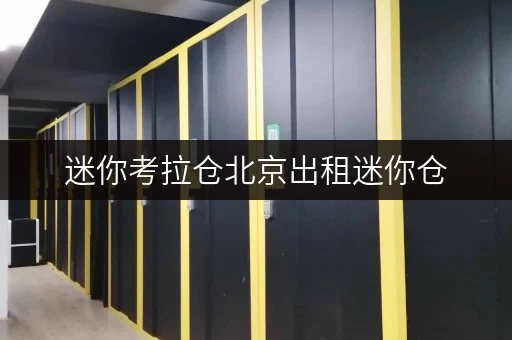 迷你考拉仓北京出租迷你仓,释放办公空间新思路 迷你考拉仓北京出租迷你仓,释放办公空间新思路