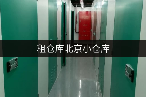 租仓库北京小仓库，空间随心选——迷你考拉仓，让物品存放不再难题